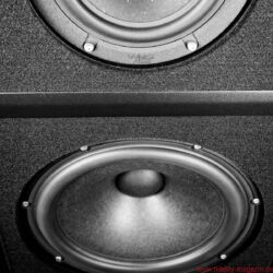 Wilson Audio Yvette Black & White