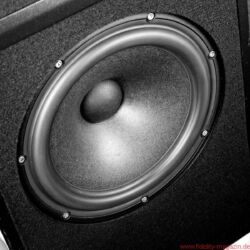Wilson Audio Yvette Black & White