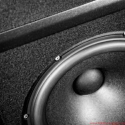 Wilson Audio Yvette Black & White