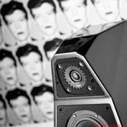 Wilson Audio Yvette Black & White