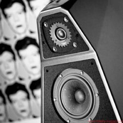 Wilson Audio Yvette Black & White