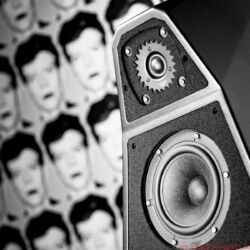 Wilson Audio Yvette Black & White