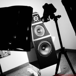 Wilson Audio Yvette Black & White