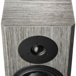 Dynaudio Special 40