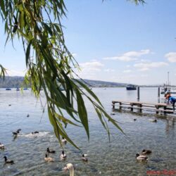 Klangschloss Greifensee