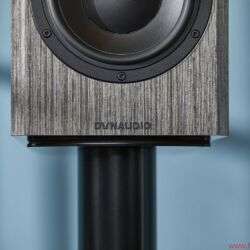 Dynaudio Special 40