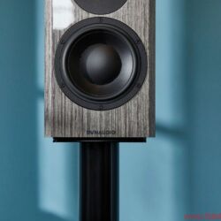 Dynaudio Special 40