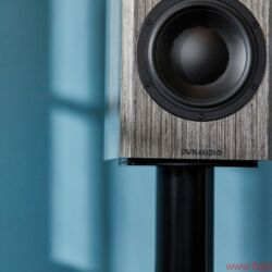 Dynaudio Special 40