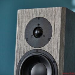 Dynaudio Special 40