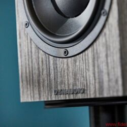 Dynaudio Special 40