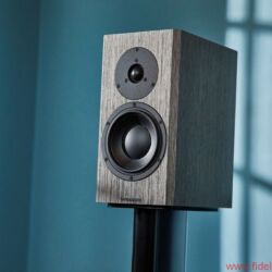Dynaudio Special 40