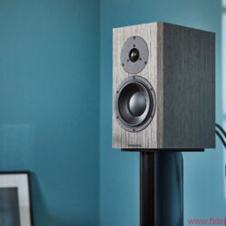 Dynaudio Special 40