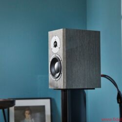 Dynaudio Special 40