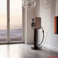Dynaudio Special 40