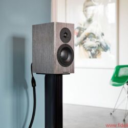 Dynaudio Special 40