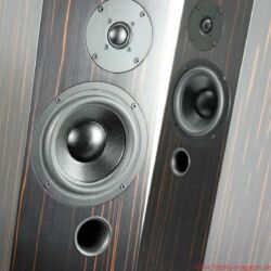 Audes Maestro 116 Lautsprecher