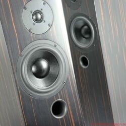 Audes Maestro 116 Lautsprecher