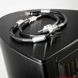 Piega Coax 711