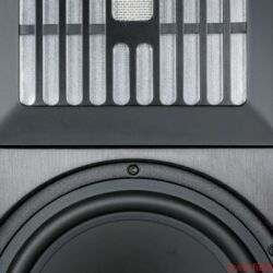 Piega Coax 711
