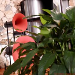 Avantgarde Acoustic Trio Horn