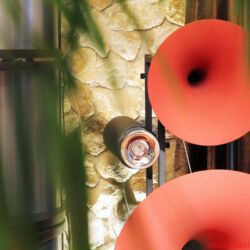 Avantgarde Acoustic Trio Horn