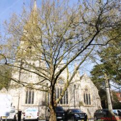 IsoTek Systems Firmenreportage 2017 - Das Headquarter von IsoTek liegt im südenglischen Winchester, dem Heimatort von IsoTek-Chef Keith Martin und Produktionsleiter Tom Foyle. Hier trifft sich die Kernmannschaft regelmäßig, um neue Produkte zu entwickeln und auszuprobieren. Winchester bietet ein l(i)ebenswertes Umfeld, das nicht nur die Arbeit beflügelt – inklusive beeindruckender Kathedrale, historischer Altstadt und einer ganzen Reihe gepflegter Pubs …