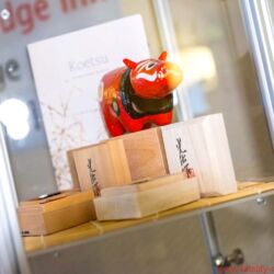 Norddeutsche HiFi-Tage 2018 Hamburg Hotel Holiday Inn