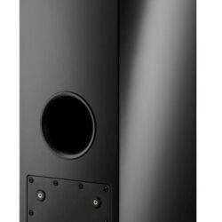 Dynaudio Xeo