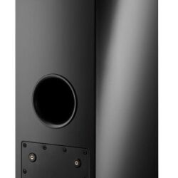 Dynaudio Xeo