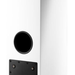 Dynaudio Xeo