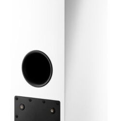 Dynaudio Xeo