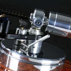 Acoustic Solid 113 Wood Bubinga