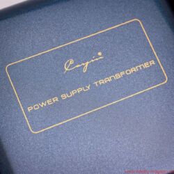 Cayin CS-100A KT88 Röhrenvollverstärker - Auf der Rückseite erlaubt der CS-100A die problemlose Anpassung der Schaltung von KT88- auf EL34-Röhren. Jede einzelne Leistungsröhre lässt sich via Kippschalter auf der Front anwählen und per Potentiometer auf der Topplatte exakt einmessen.