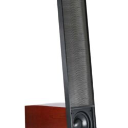 FIDELITY Award Winner 2018 MartinLogan Expression ESL 13A