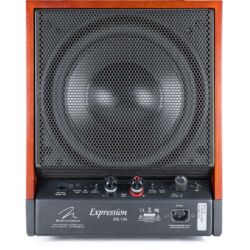 FIDELITY Award Winner 2018 MartinLogan Expression ESL 13A