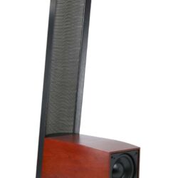 FIDELITY Award Winner 2018 MartinLogan Expression ESL 13A