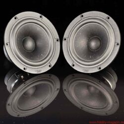 FIDELITY Award Winner 2018 Wilson Audio Yvette
