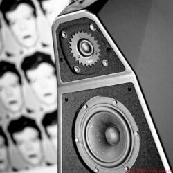 FIDELITY Award Winner 2018 Wilson Audio Yvette