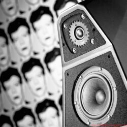 FIDELITY Award Winner 2018 Wilson Audio Yvette