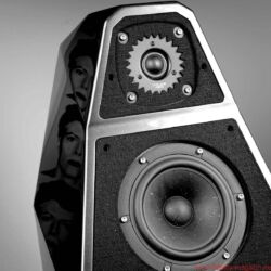 FIDELITY Award Winner 2018 Wilson Audio Yvette