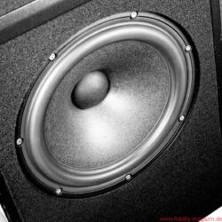 FIDELITY Award Winner 2018 Wilson Audio Yvette