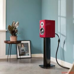 FIDELITY Award Winner 2018 Dynaudio Special Forty