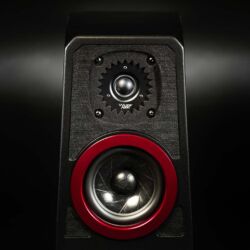 Wilson Audio TuneTot Cove Carbon