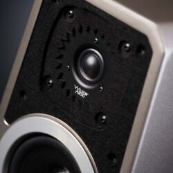 Wilson Audio TuneTot Cove Quartz