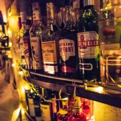 Bonobo Club Shibuya Tokyo