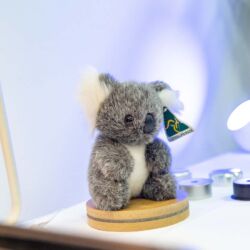 High End, hifideluxe, CanJam 2018 in München
