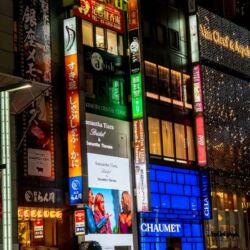 Tokyo City Lights