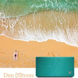 Cambridge Audio Yoyo S