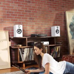 Bowers & Wilkins 607