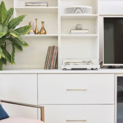 Yamaha MusicCast VINYL 500